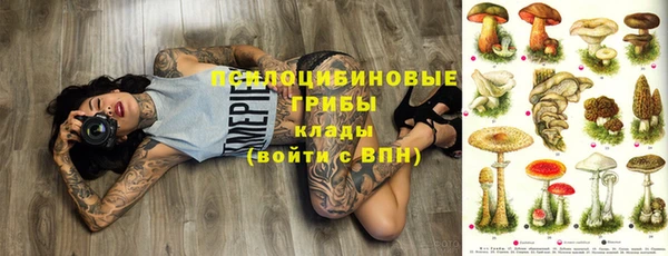 бошки Пролетарск