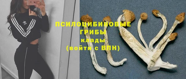бошки Пролетарск
