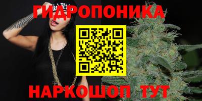 таблы Пугачёв