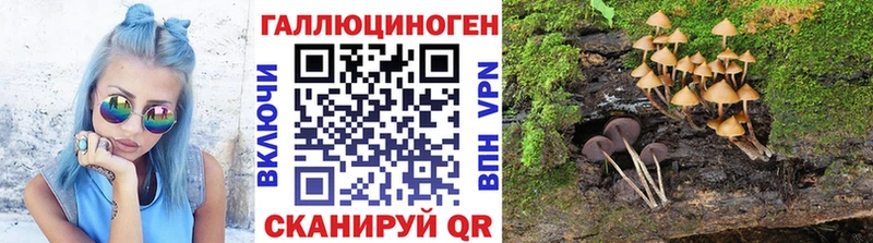 хочу наркоту  Троицк  дарк нет состав  Псилоцибиновые грибы ЛСД  ОМГ ОМГ как зайти 