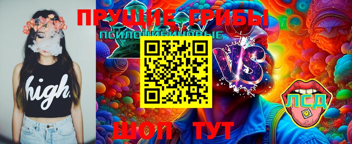 Псилоцибиновые грибы Cubensis Троицк